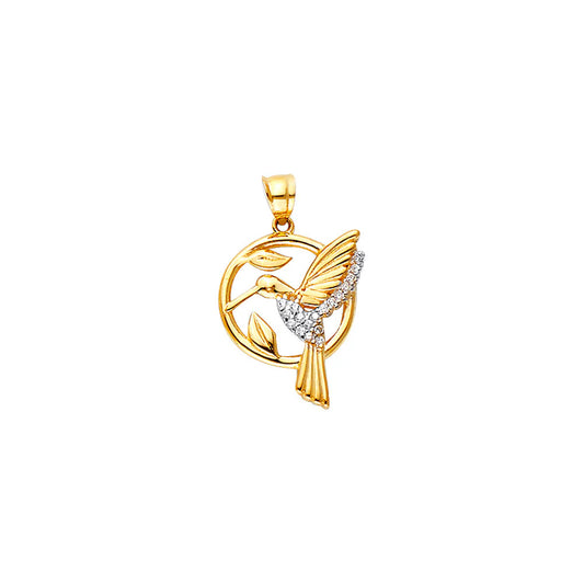 JR2555
