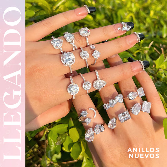 PL 20 X $239